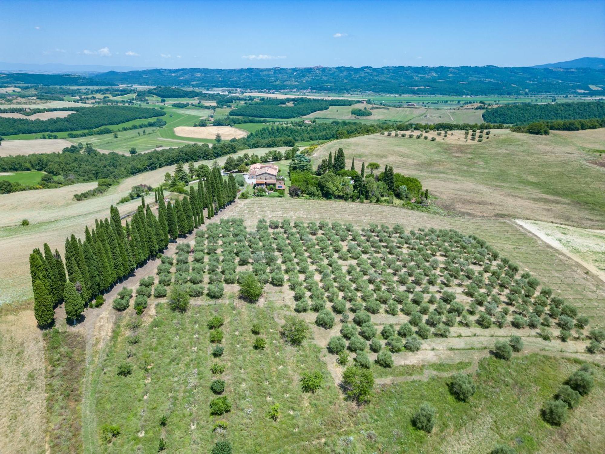 Agriturismo Spazzavento Palazzone ภายนอก รูปภาพ